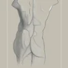 Art of Creation Fine Art Poster A2 Alabaster Edition - typography print v3